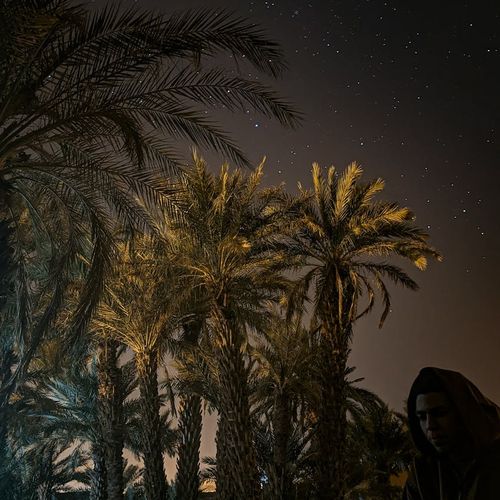 Calm night sky with stars, representing peace and relaxation.